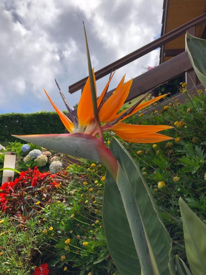 וילה פראנקה דו קמפו Quinta Da Pavoa - Cottage House מראה חיצוני תמונה